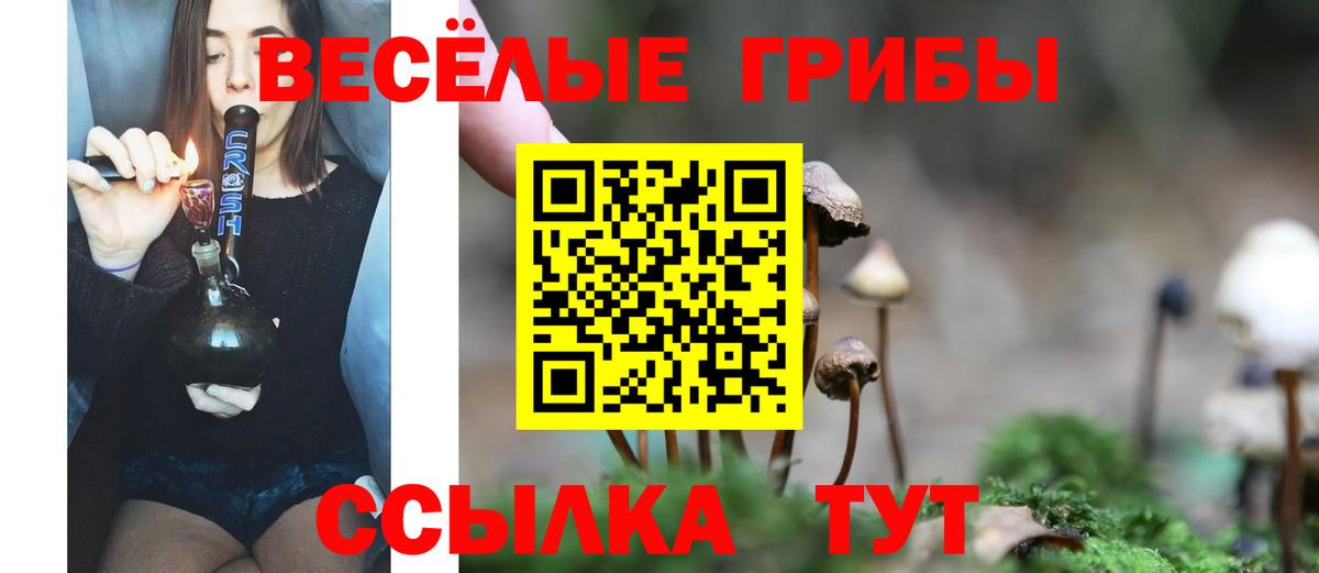 Галлюциногенные грибы Magic Shrooms  Псилоцибиновые грибы Magic Shrooms  Вход с VPN  Зима 