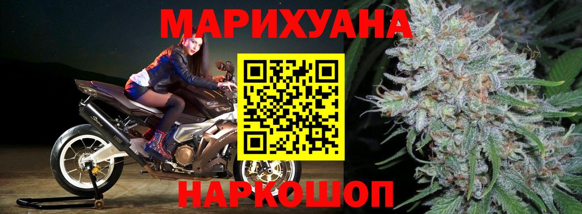 Каннабис конопля Зима
